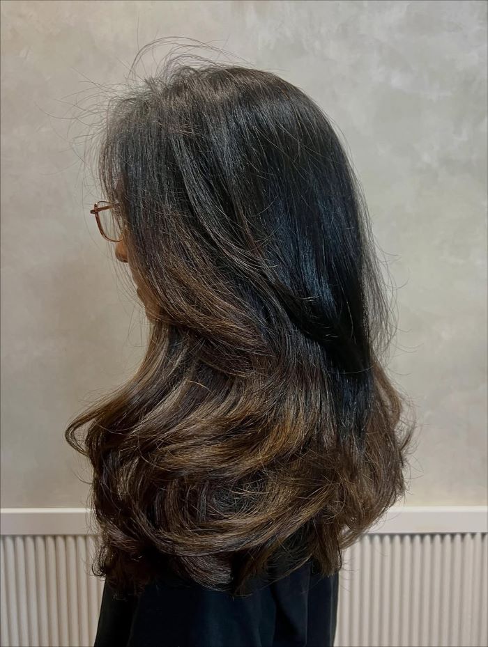 Layered Cut with Balayage